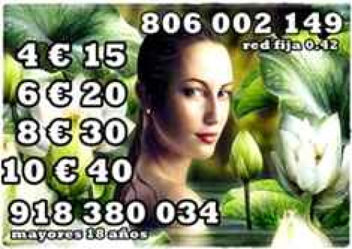 VIDENTES DE PRESTIGIO, CON GRAN EXPERIENCIA, OFERTAS VISA 4 &euro; 15 MTS. 6 &euro; 20 MTS.  8060020