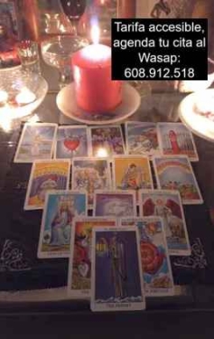 CLARIVIDENTE MEDIUM 608.912.518