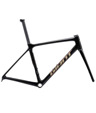 2024 GIANT TCR ADVANCED PRO DISC FRAMESET (ALANBIKESHOP)