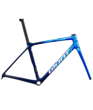 2024 GIANT TCR ADVANCED PRO DISC FRAMESET (ALANBIKESHOP)