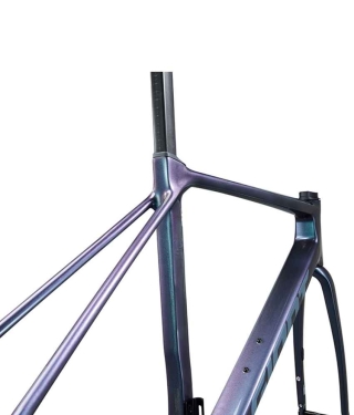 2025 GIANT TCR ADVANCED PRO FRAMESET (ALANBIKESHOP)