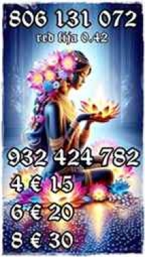 VIDENTES DIRECTAS  GRANDES OFERTAS  932933512 Y 806131072