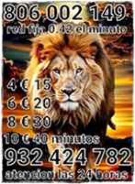 VIDENTES DIRECTAS GRANDES OFERTAS 932933512 Y 806131072