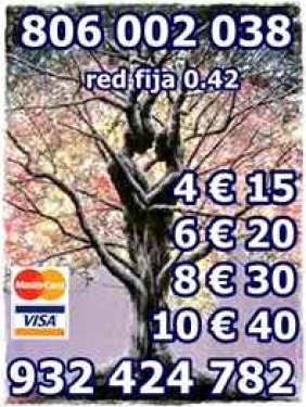 VIDENTE Y TAROTISTA REAL OFERTA VISA 4 € 15 MTS