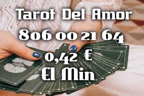 TAROT  VISA DEL AMOR LAS 24 HORAS | 806 TAROT