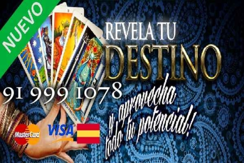 TAROT DEL TRABAJO | TAROT SIN GABINETE