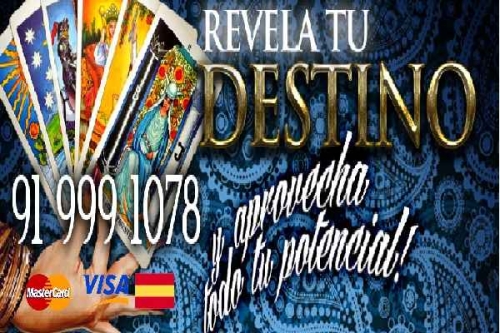 TAROT EXPERTO EN EL AMOR | TAROT MONICA